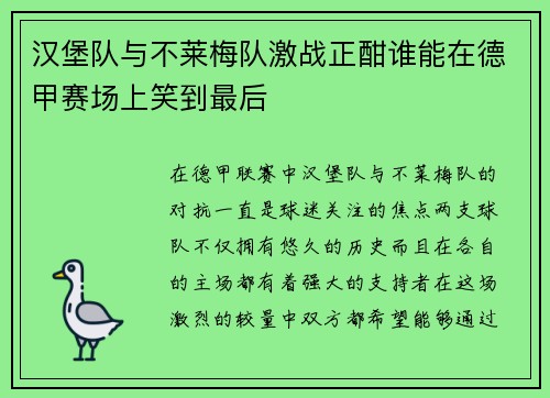 汉堡队与不莱梅队激战正酣谁能在德甲赛场上笑到最后